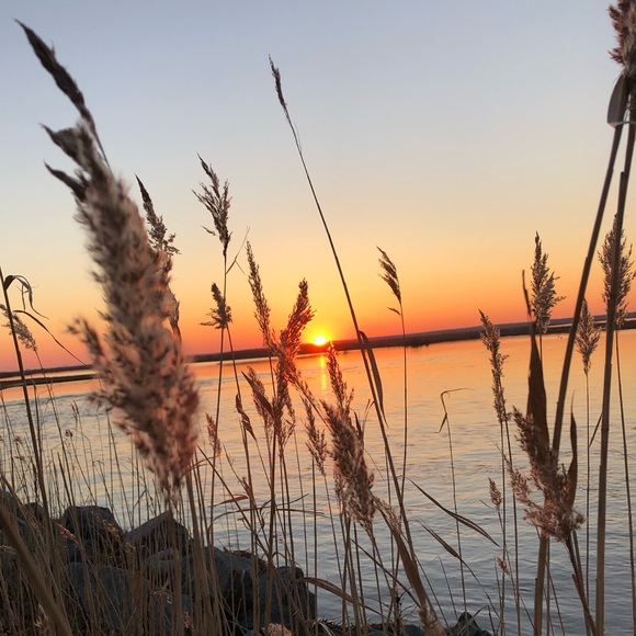 Meet your Posher, Hailey - Picture 1 of 1